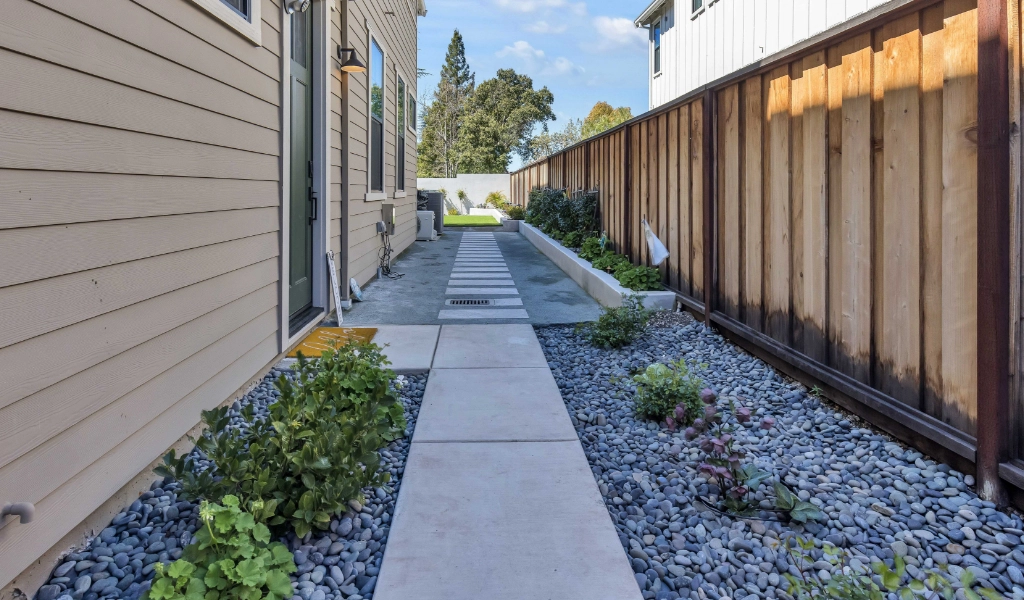 Backyard remodel with sidewalk and plants.